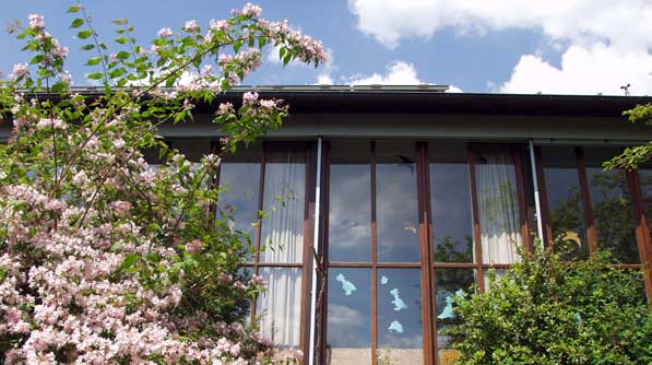 Ki-SocietyStuttgart-Sonniger-Winkel_Blüten_597px