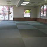 ToriDojo2016LinkPic1