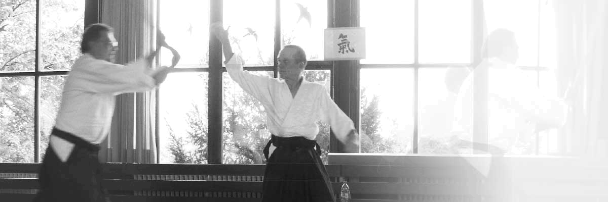 UdoKenZenpoSowianims3